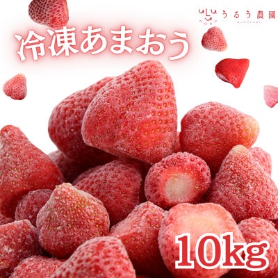 うるう農園の冷凍あまおう10kg