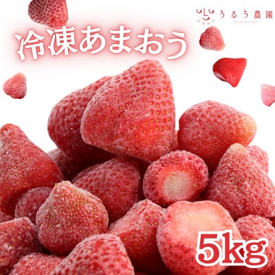 うるう農園の冷凍あまおう5kg