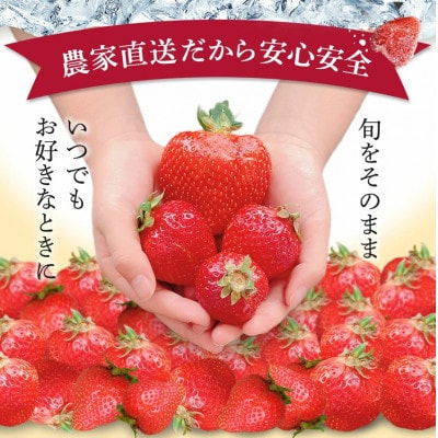 うるう農園の冷凍あまおう5kg