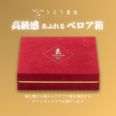 【2026年11月下旬～順次】あまおうベロアEX等級(プレミアム化粧箱)12粒 約400g