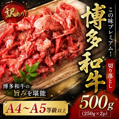 訳あり!【A4～A5】この味プレミアム!博多和牛切り落とし　500g(250g×2p)(太宰府市)