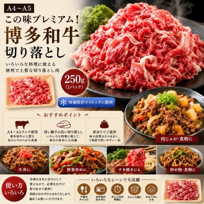 訳あり!【A4～A5】この味プレミアム!博多和牛切り落とし　500g(250g×2p)(太宰府市)