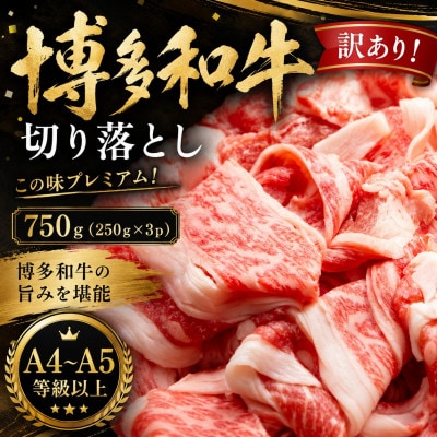 訳あり!【A4～A5】この味プレミアム!博多和牛切り落とし　750g(250g×3p)(太宰府市)