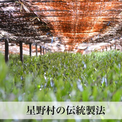 2025年産【八女茶】星野村の抹茶 妙見の里 濃茶用 20g(太宰府市)