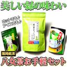 福岡銘茶八女茶 急須要らずのお手軽セット(便利なチャック付)　太宰府市