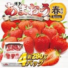 【2026年2月上旬～4月下旬発送予定】博多あまおう4パック(春)
