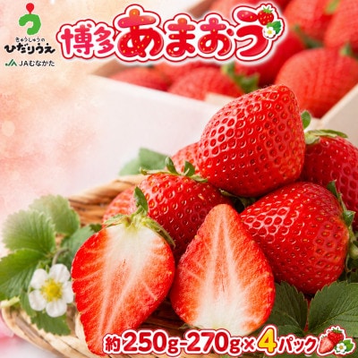 【2027年2月上旬～4月下旬発送予定】博多あまおう(春) 250g-270g×4パック(太宰府市)
