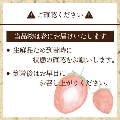 楽天市場】佐賀 ”いちごさん” ちょっと訳あり 約250g×4パック