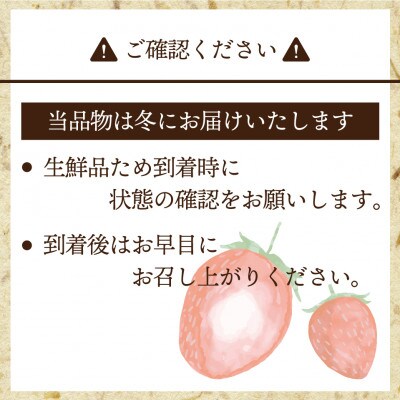 博多あまおう4パック(冬)『2024年12月～2025年2月発送』(太宰府市)