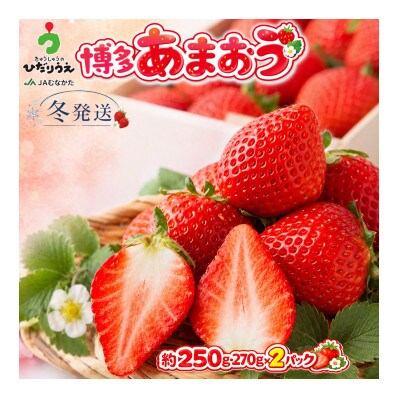【2026年12月上旬～27年1月下旬発送予定】博多あまおう(冬)250g-270g×2P/太宰府市