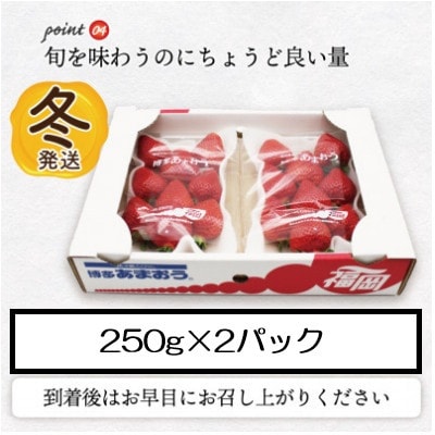 【2026年12月上旬～27年1月下旬発送予定】博多あまおう(冬)250g×2P(太宰府市)