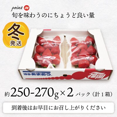【2026年12月上旬～27年1月下旬発送予定】博多あまおう(冬)250g-270g×2P/太宰府市