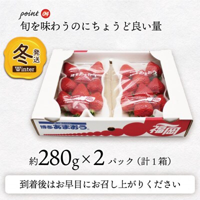 【2025年12月上旬～2026年1月下旬発送予定】博多あまおう2パック(冬)