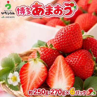 【2026年12月上旬～27年1月下旬発送予定】博多あまおう(冬)250g-270g×6P/太宰府市
