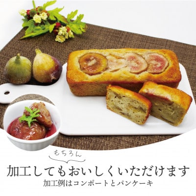 【2025年8月下旬～10月下旬発送予定】福岡県ブランドいちじく「博多とよみつひめ」4パック