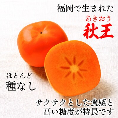 【2025年10月下旬より順次発送】福岡県ブランド柿「秋王」約1.2kg3Lサイズ4玉入(太宰府市)