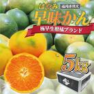 福岡県ブランドみかん「早味かん」 5kg(太宰府市)