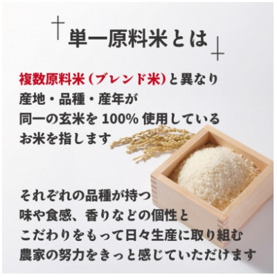 JAよりお届け!福岡県ブランド米「夢つくし」10kg(太宰府市)