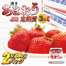 【発送月固定定期便】博多あまおう2パック定期便(太宰府市)全3回