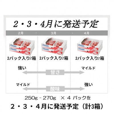 【発送月固定定期便】博多あまおう 約250g-270g×4パック(太宰府市)全3回
