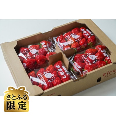 【さとふる限定】ふくおかエコ農産物認証あまおう約285g×4パック(規格L・2L)(太宰府市)