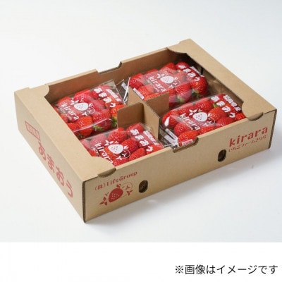 【太宰府市特別企画】令和8年3月配送!あまおう 4パック(約1140g)(規格:G以上)(太宰府市)