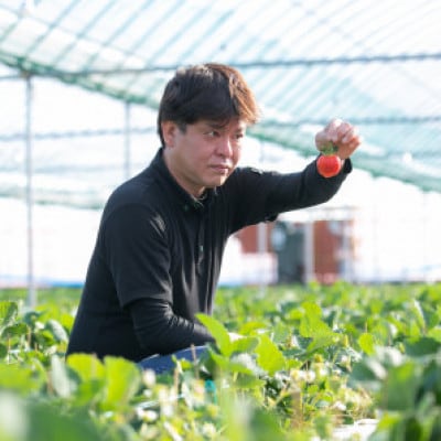 【太宰府市特別企画】令和8年3月配送!あまおう 4パック(約1140g)(規格:G以上)(太宰府市)