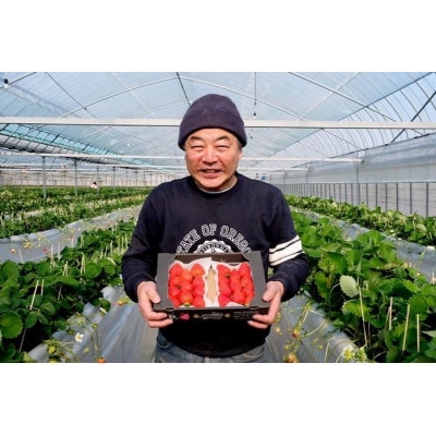 マカロンあまおう6個入り