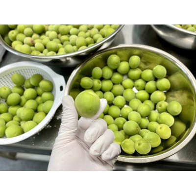 マカロン青梅6個入り