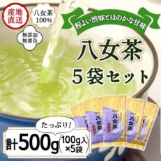 八女茶100% 煎茶 500g(100g&times;5袋)(太宰府市)