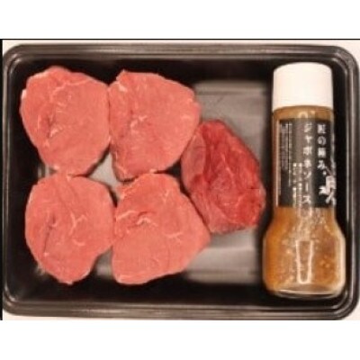 博多和牛ヒレステーキ100g×5枚　自家製ジャポネソース付(太宰府市)