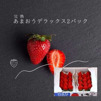 【先行受付】いちごの王様!【あまおうデラックス】6玉～15玉(2パック)1月から順次発送(太宰府市)