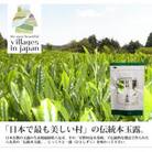 奥八女星野村　八女茶伝統本玉露[50g]×1袋(太宰府市)