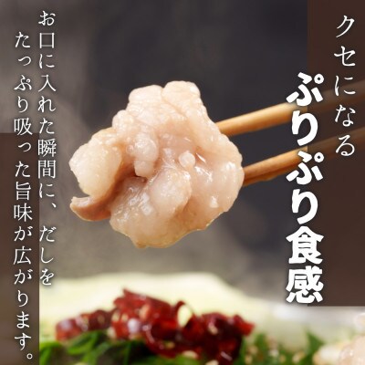 もつ鍋セット 10人前(もつ1000g) 濃縮醤油スープ(太宰府市)