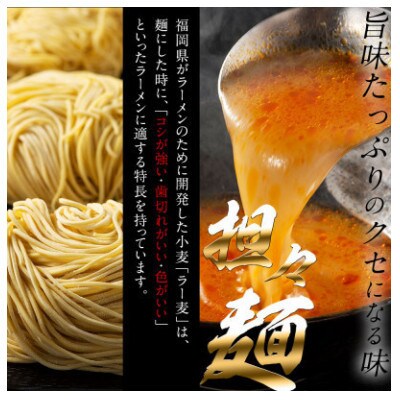福岡県産ラー麦麺×5種類のスープ食べ比べセット15人前!(豚骨・醤油・塩・味噌・担々麺)(太宰府市)