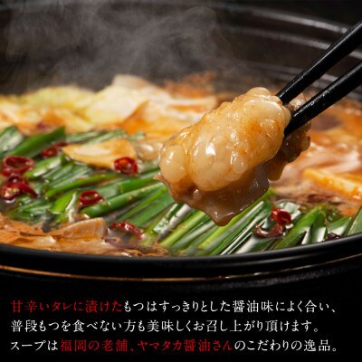 【うまか～っ】旨辛仕立ての博多もつ鍋&福岡水炊き10～12人前セット!味にこだわった逸品(太宰府市)