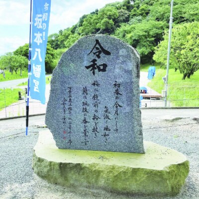 令和の里　太宰府・坂本八幡宮写真入りTシャツ Mサイズ