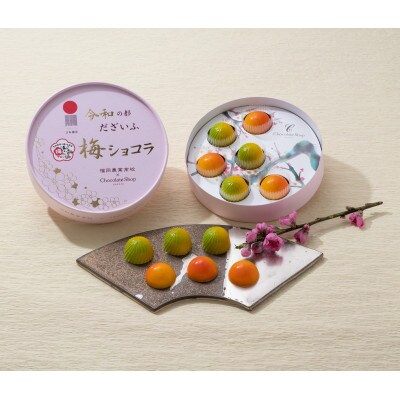 梅ショコラ 2箱(太宰府市)