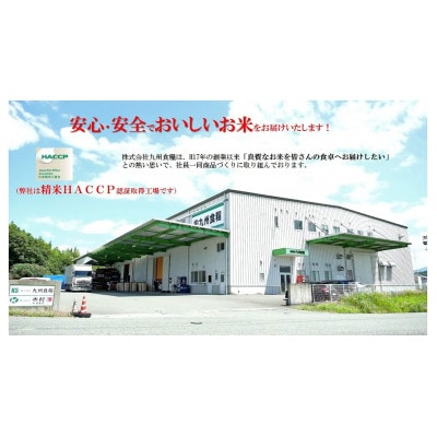 福岡県産夢つくし　5kg×2袋(太宰府市)