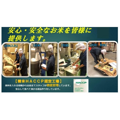 福岡県産夢つくし　5kg×2袋(太宰府市)