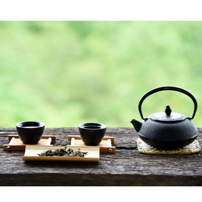 八女茶【特上】煎茶セット　100g×2袋(太宰府市)