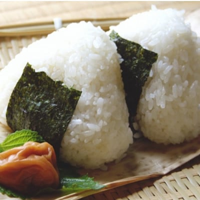 福岡有明のり　梅しそ・明太子・味のりセット　8切5枚×各8パック【合計24パックセット】(太宰府市)