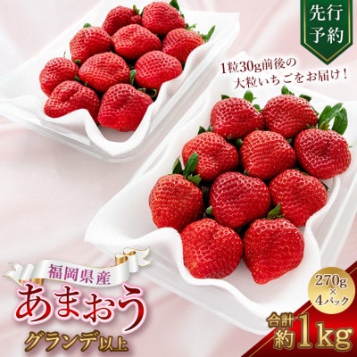 先行予約【2026年12月中旬より発送予定】福岡県産 苺「あまおう」グランデ以上 270g×4パック