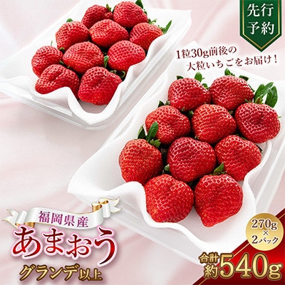 先行予約【2027年2月下旬～3月下旬発送予定】福岡県産 苺「あまおう」グランデ以上 270g×2