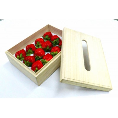 【先行受付】ティッシュBOX用特別仕様桐箱入りプレミアムあまおうEX400g×1パック(太宰府市)
