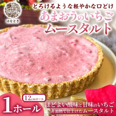 【とろけるような軽やかな口どけ】あまおうのいちごムースタルト 1ホール 福岡県太宰府市