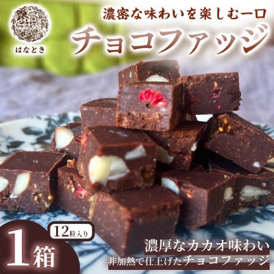 【濃密な味わいを楽しむ一口】チョコファッジ(12粒入り)1箱 福岡県太宰府市