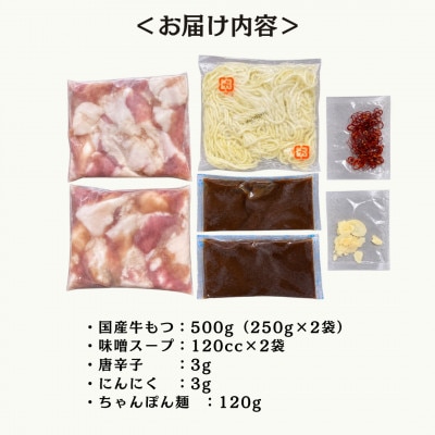 【まだ有名じゃないもつ鍋】工場直販!国産牛もつ鍋セット 味噌味(3～4人前)