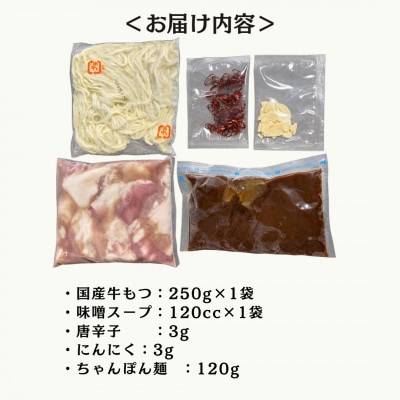 【まだ有名じゃないもつ鍋】工場直販!国産牛もつ鍋セット 味噌味 (1～2人前)