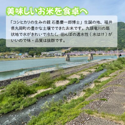 おおかわさんちのこしひかり 5kg [A-10804]